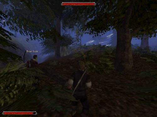 Gothic 2 000538,5
